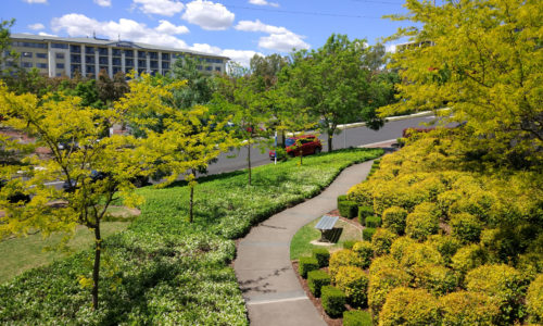 Baulkham Hills Pest Control