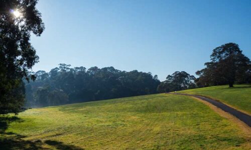 Doncaster Pest Control