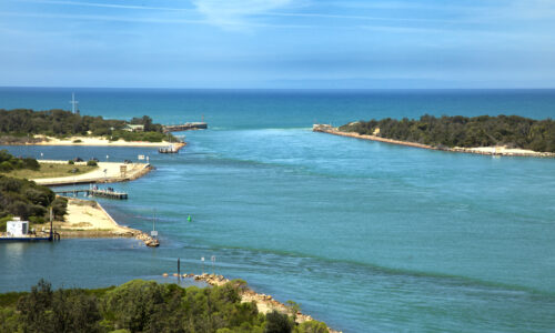 Lakes Entrance Pest Control