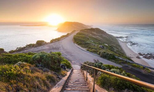 Mornington Peninsula Pest Control